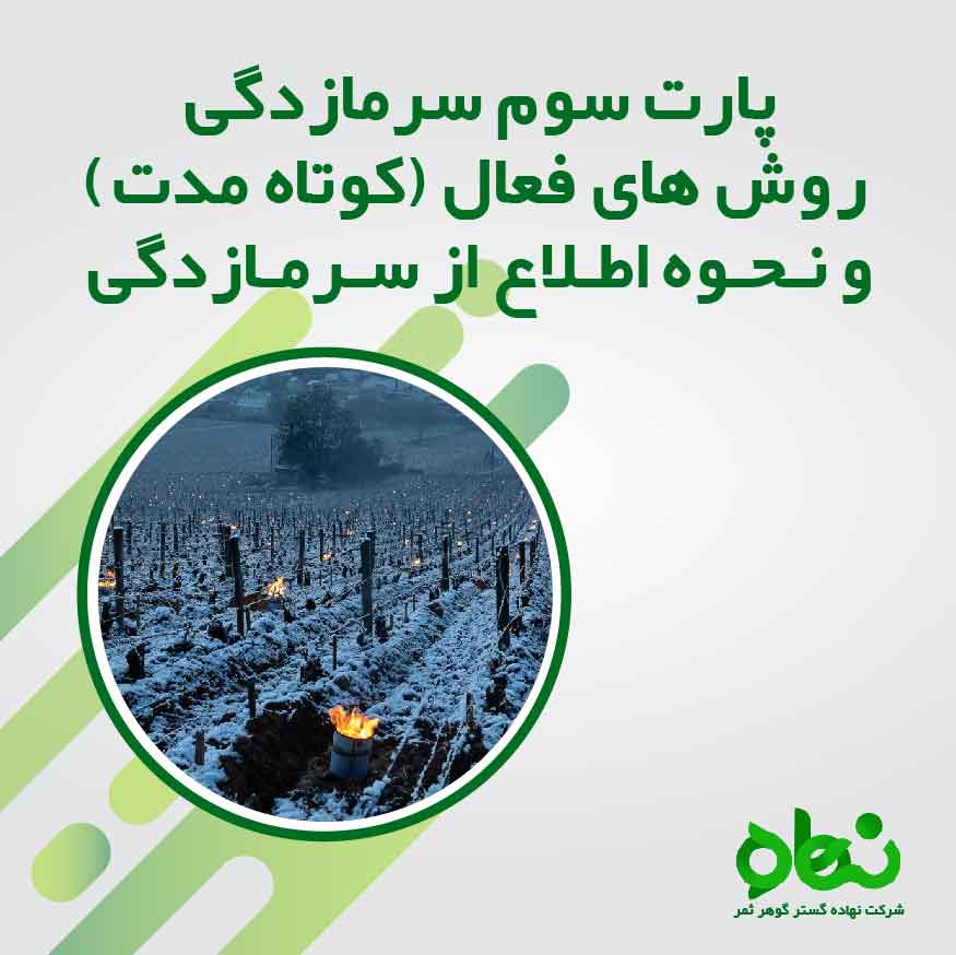 سرمازدگی و یخ زدگی در گیاهان پارت سه